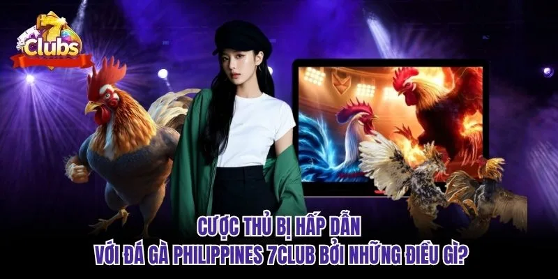 Cược thủ bị hấp dẫn với đá gà Philippines 7club bởi những điều gì?