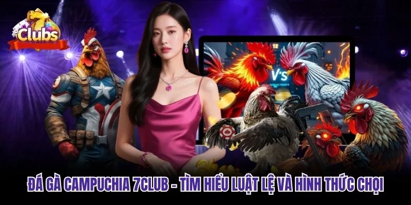 Đá Gà Campuchia 7club - Tìm Hiểu Luật Lệ Và Hình Thức Chọi