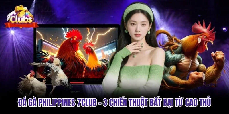 Đá Gà Philippines 7club - 3 Chiến Thuật Bất Bại Từ Cao Thủ