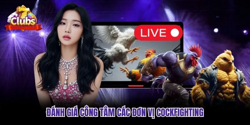 Đánh giá công tâm các đơn vị cockfighting