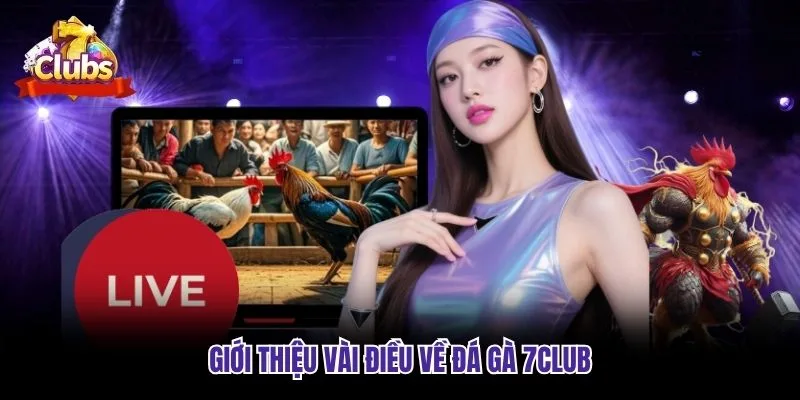 Giới thiệu vài điều về đá gà 7club