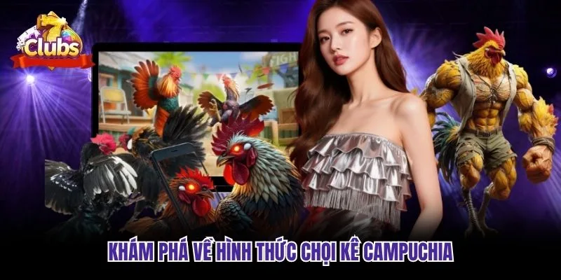 Khám phá về hình thức chọi kê Campuchia