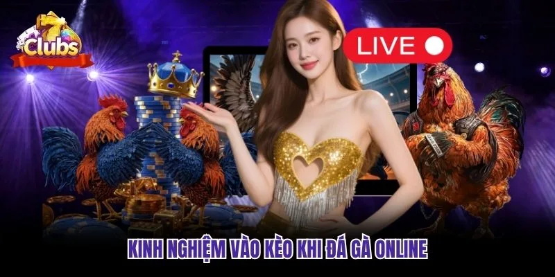 Kinh nghiệm vào kèo khi đá gà online