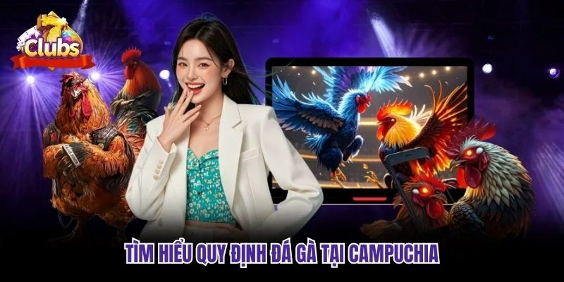 Tìm hiểu quy định đá gà tại Campuchia